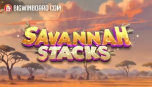 bí mật nhà cái là gì Giới thiệu nhanh dành cho người mới